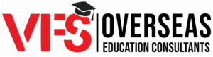 VFS Logo